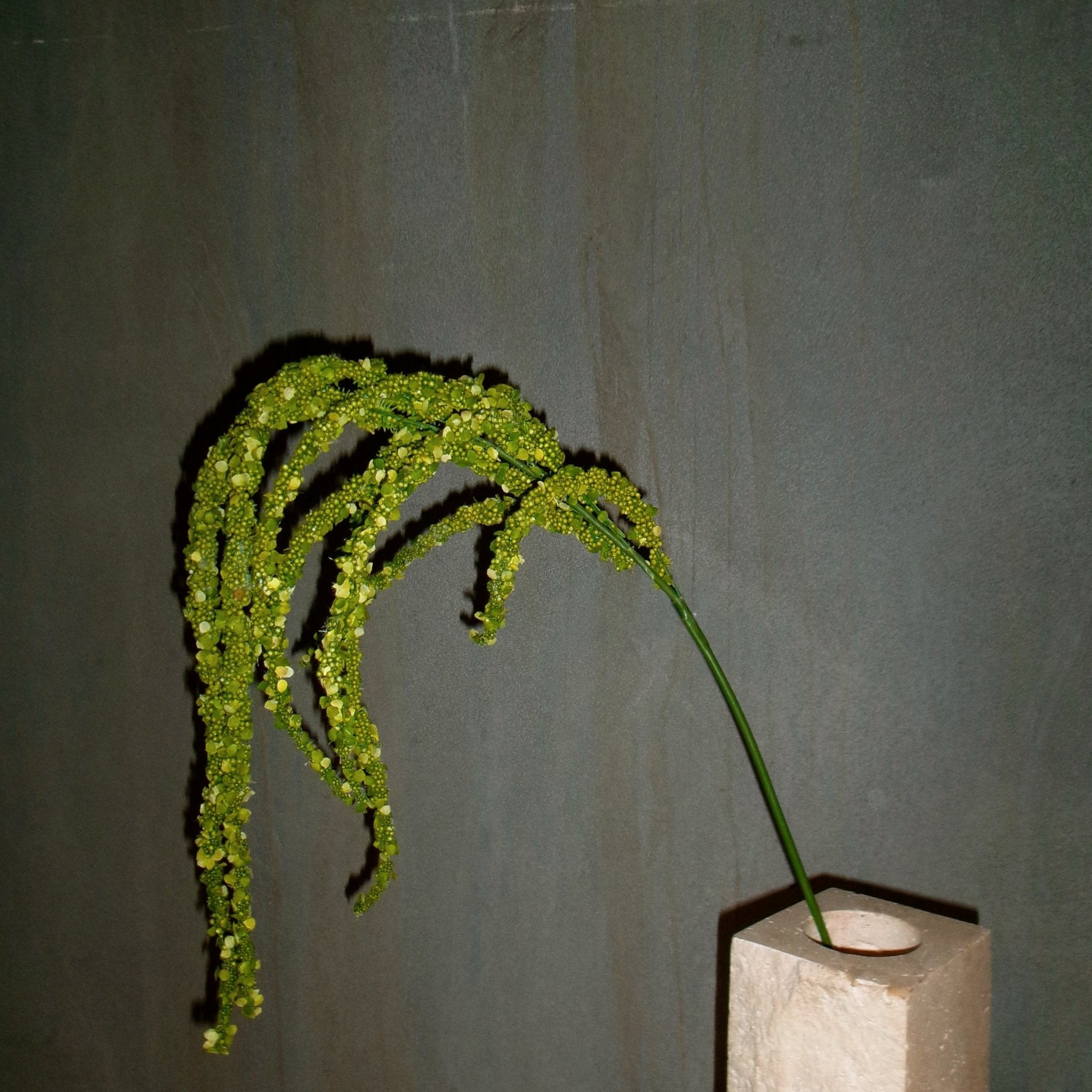Stems