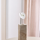 Kleine Anthurium Bloem - Wit