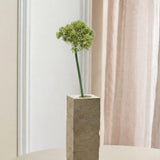 1-Vertakte Sedum Bessenbloem - Groen