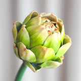 Artisjok Besbloem