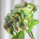 Vintage Grote Hortensia - Groen