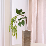 Amaranthus Bessentak - Groen
