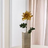 Grote Chrysant - Bruin