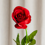 Roos Steel - Rood