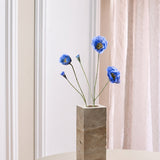 Papaver - Donkerblauw