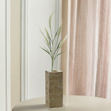 Salie - Wit/Groen
