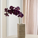 Luxe Vlinderorchidee "Real Touch" - Bordeaux