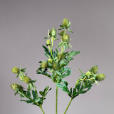 Distel Steel - Groen
