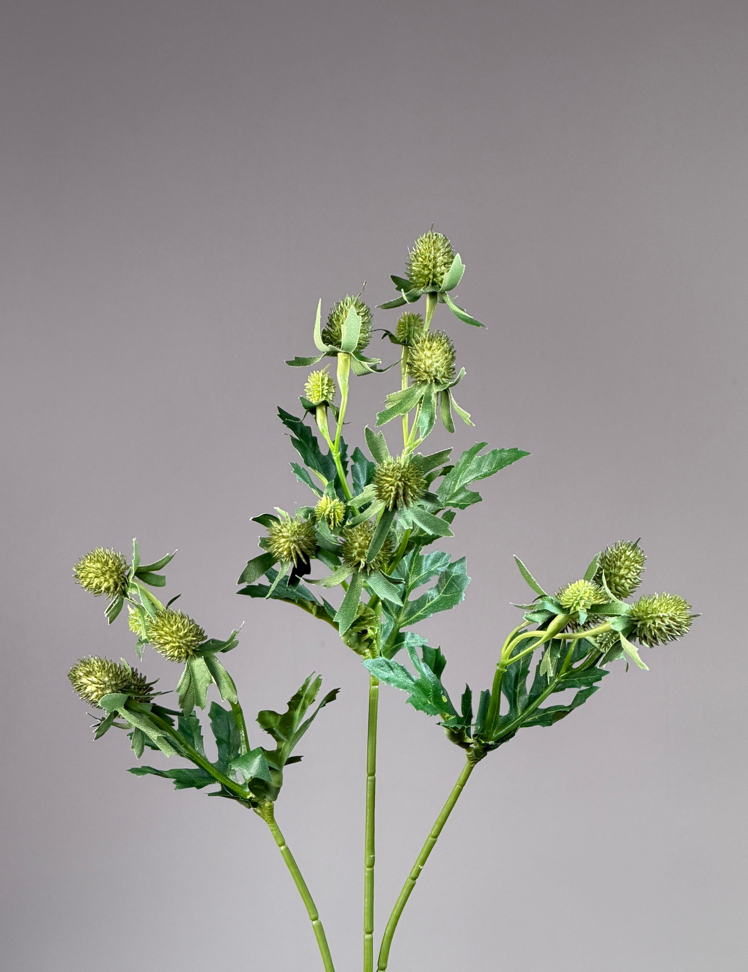 Distel Steel - Groen