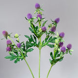 Distel Steel - Paars