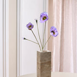 Opium Poppy - Lavendel