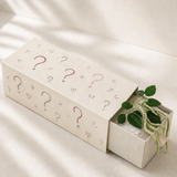 Limited Mystery Box - White