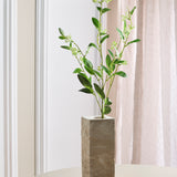 Bladeren met Groene Bes