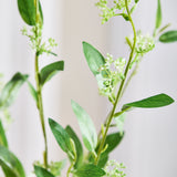 Bladeren met Groene Bes