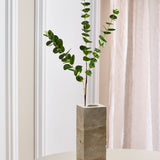 Eucalyptus Leaves - Green
