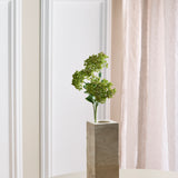 3 Takken Sedum Besbloemen, Groen