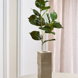 Hortensia Bladeren