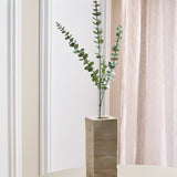 Eucalyptusblaadjes "Silver Dollar"