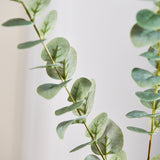 Eucalyptusblaadjes - Stoffig Groen