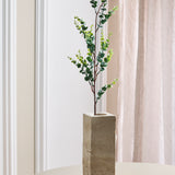 Eucalyptus "Money" Tak