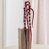 Amaranthus Bloem, 6-tak - Bordeaux