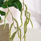Amaranthus 2 Takken Blad - Wit