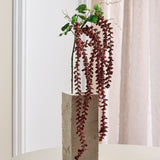 Amaranthus Caudatus Bloem - Bordeaux