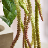 Amaranthus Kunstbloem - Groen