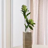 Skimmia Bessentak, Groen