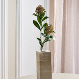 Skimmia Bessentak, Rood/Groen