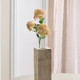 3 Takken Sedum Bessenbloemen, Lichtroze