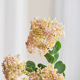 3 Takken Sedum Bessenbloemen, Lichtroze