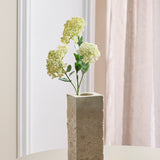 3 Takken Sedum Bessenbloemen, Wit