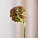 Scabiosa Kunstbloem, Bruin