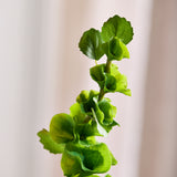 Bells of Ireland