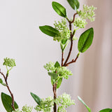 Lange Wilgentak met Groen Blad (Imperfect)