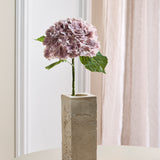 Hortensia - Paars