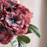 Vintage Grote Hortensia - Donker Bordeaux