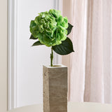 Grote Hortensia - Groen