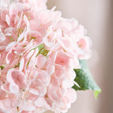 Hortensia Bloem - Lichtroze