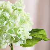 Hydrangea Flower - Light Green