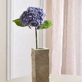 Hortensia Bloem - Lavendel
