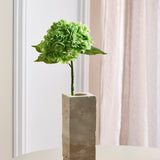 Hortensia - Groen