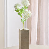 Hortensia Snowball met 3 Koppen - Wit