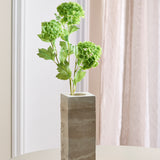 Hortensia Snowball met 3 Koppen - Groen
