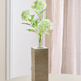 Hortensia Snowball met 3 Koppen - Lichtgroen