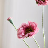 Opium Poppy - Zachtroze