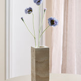 Opium Poppy - Lichtblauw