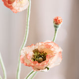 Opium Klaproos - Koraal
