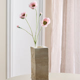 Opium Poppy - Lichtroze